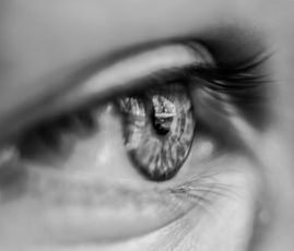 Cornea and Refractive Surgery
