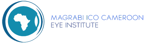 MICEI – Africa Eye Foundation