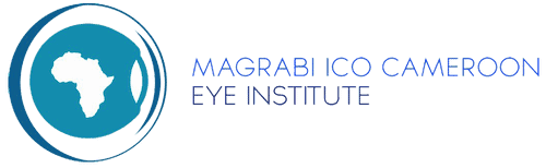 MICEI – Africa Eye Foundation